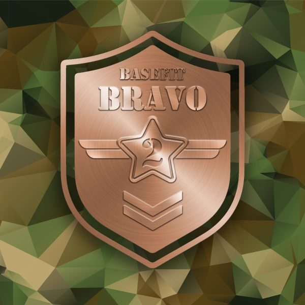 Online Interactive Bravo (2)