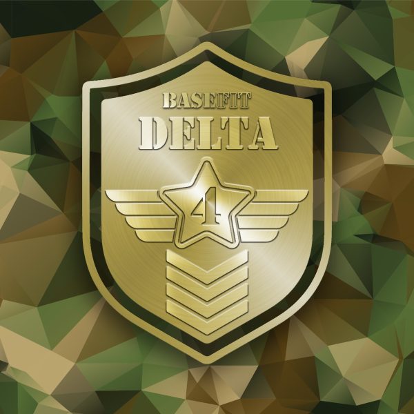 Online Interactive Delta (4)